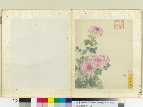 無款菊繪冊　冊　粉西施