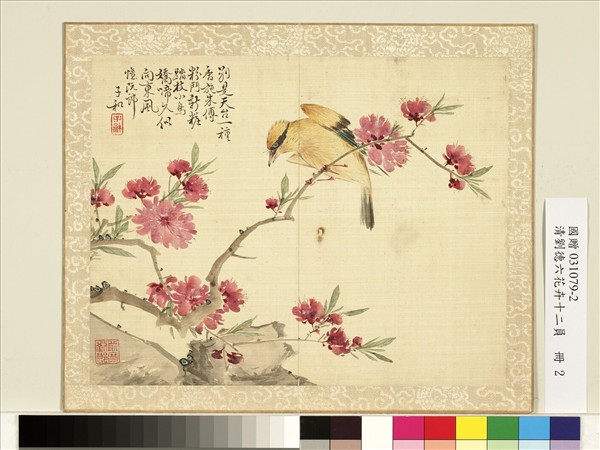 清劉德六花卉十二員　冊　黃鸝桃花