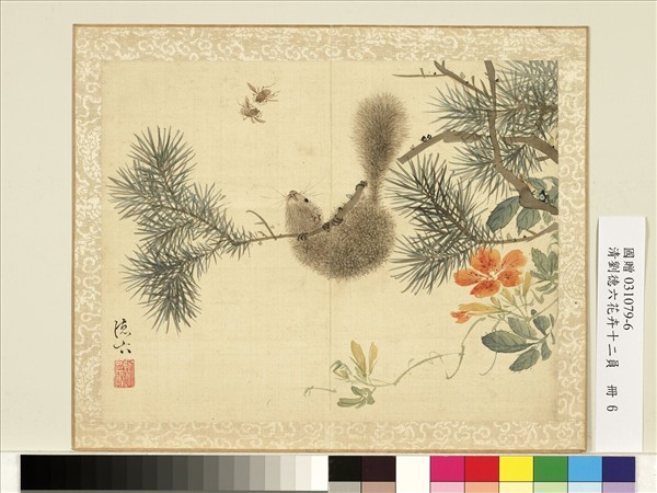 清劉德六花卉十二員　冊　松鼠凌霄