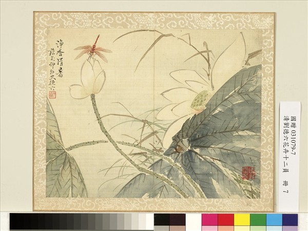 清劉德六花卉十二員　冊　靜香清暑