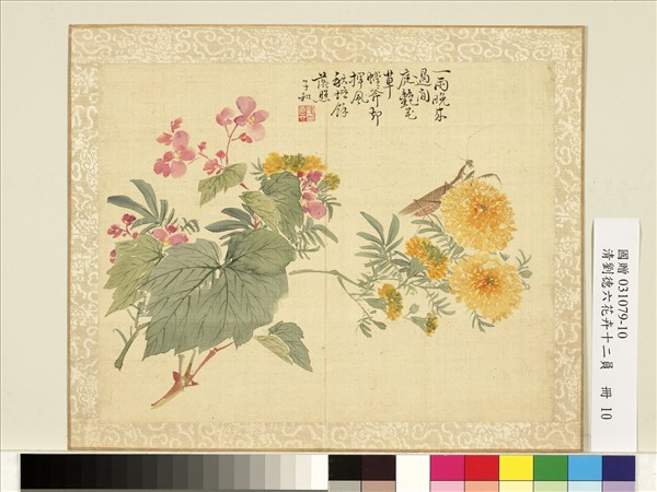 清劉德六花卉十二員　冊　秋菊海棠