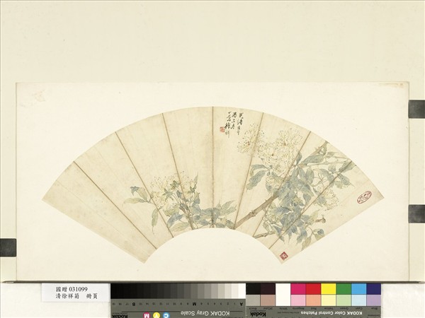 清徐祥畫月季　單片