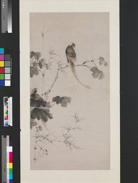 清華嵒花鳥　軸