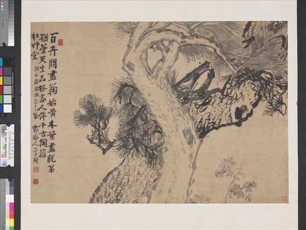 清李鱓松菊圖　軸