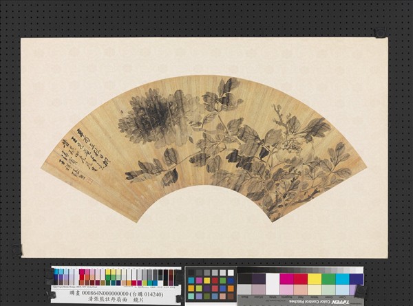 清張熊牡丹扇面　鏡片