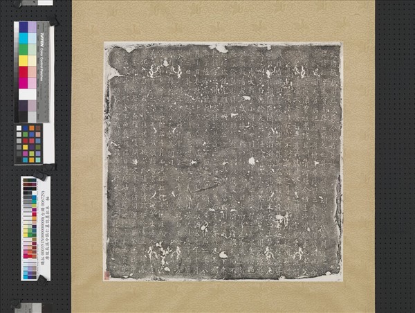 唐故辰州辰溪縣令張君墓誌并序　軸