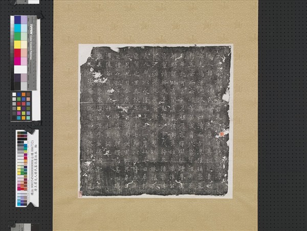 唐王君夫人祿氏墓誌墨拓本　軸