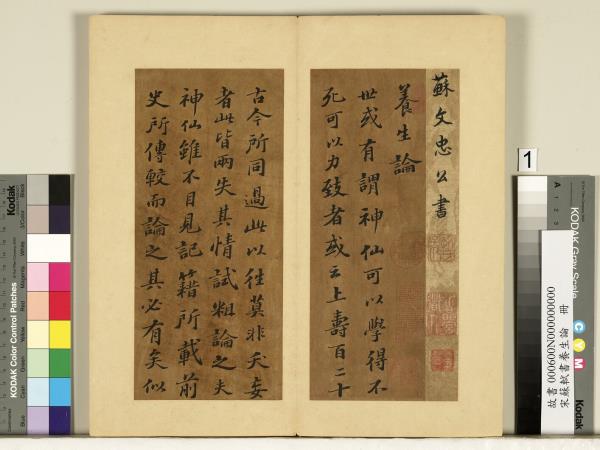 宋蘇軾書養生論真蹟　冊