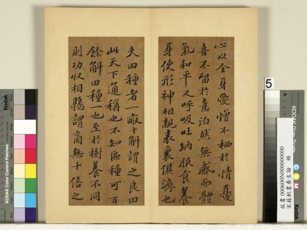 宋蘇軾書養生論真蹟　冊