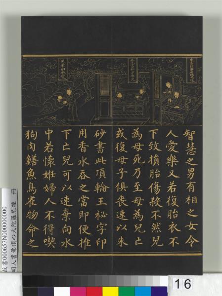 明人佛頂心大陀羅尼經　冊