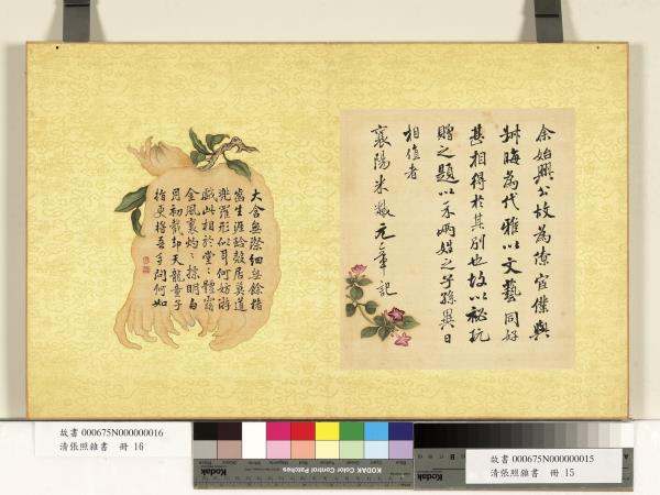 清張照雜書　冊　臨米芾尺牘