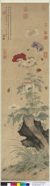 清顧瑛畫罌粟　軸