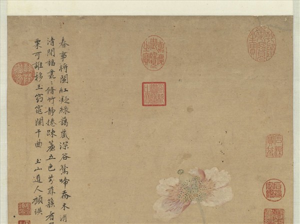 清顧瑛畫罌粟　軸