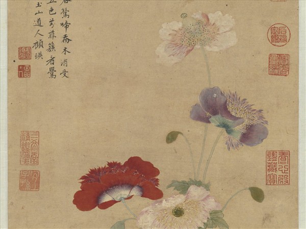 清顧瑛畫罌粟　軸