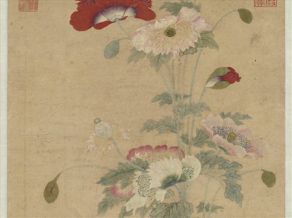 清顧瑛畫罌粟　軸