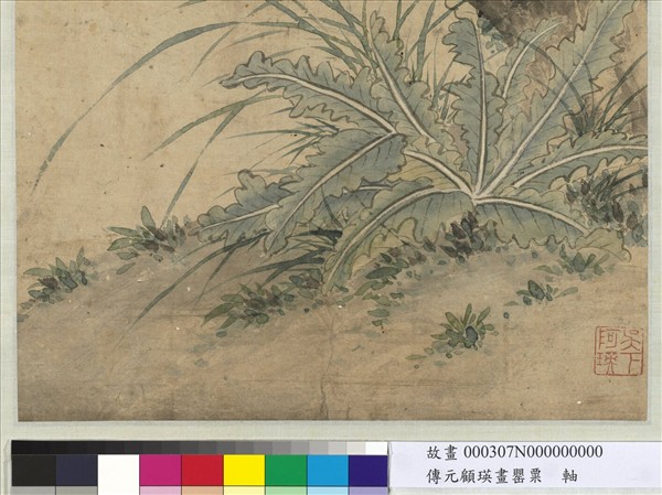 清顧瑛畫罌粟　軸