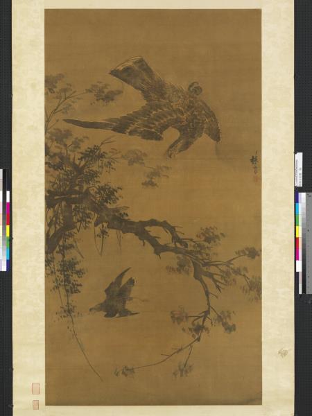 明林良秋鷹　軸