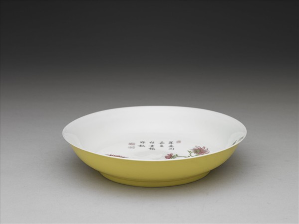 琺瑯彩菊花草蟲紋盤