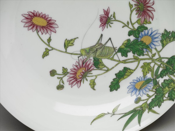 琺瑯彩菊花草蟲紋盤