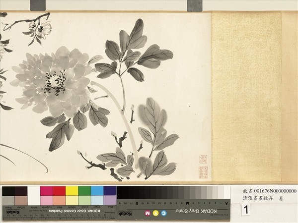清張畫畫雜卉　卷