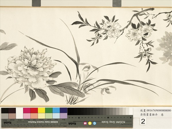 清張畫畫雜卉　卷