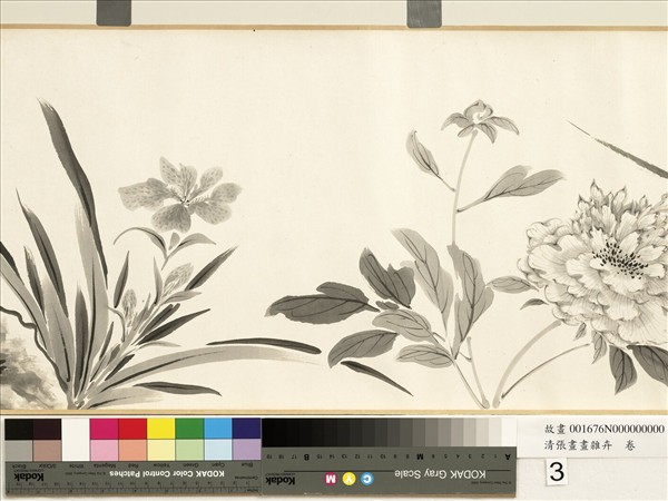 清張畫畫雜卉　卷