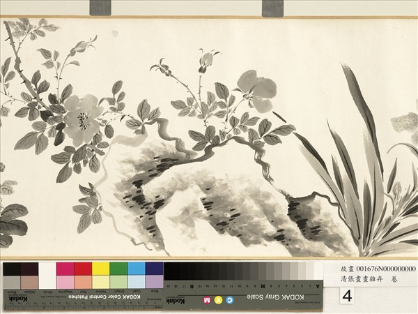 清張畫畫雜卉　卷
