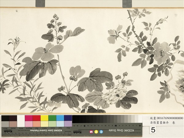 清張畫畫雜卉　卷