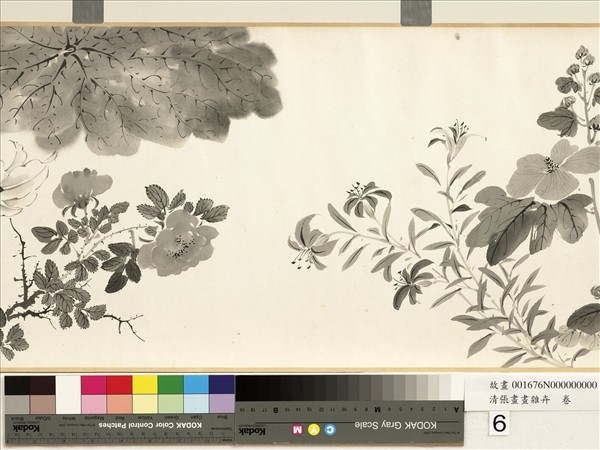 清張畫畫雜卉　卷
