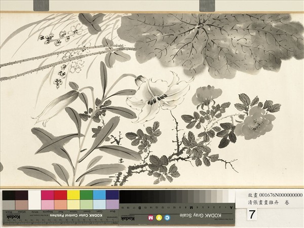 清張畫畫雜卉　卷