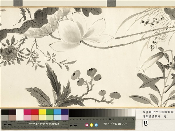 清張畫畫雜卉　卷