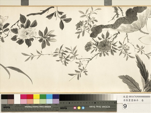 清張畫畫雜卉　卷