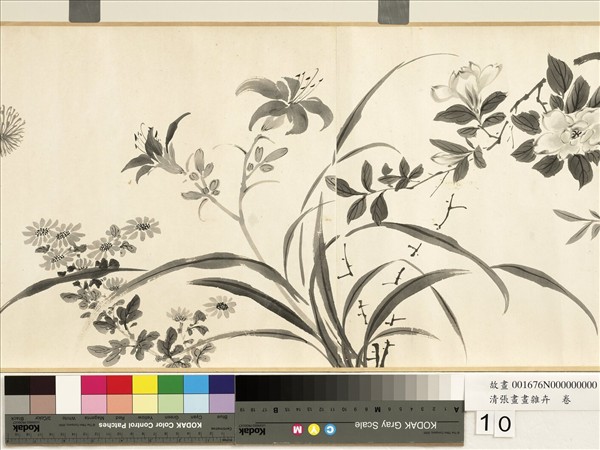 清張畫畫雜卉　卷