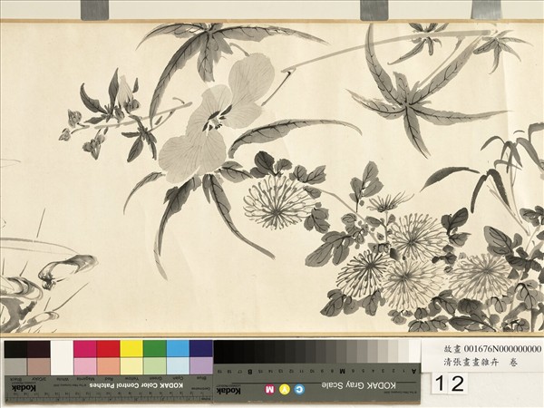清張畫畫雜卉　卷