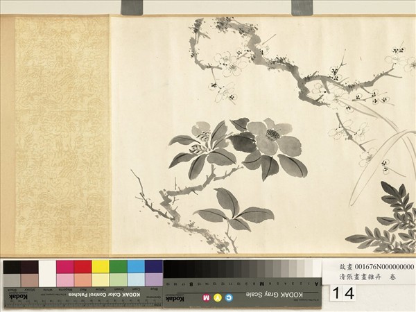 清張畫畫雜卉　卷