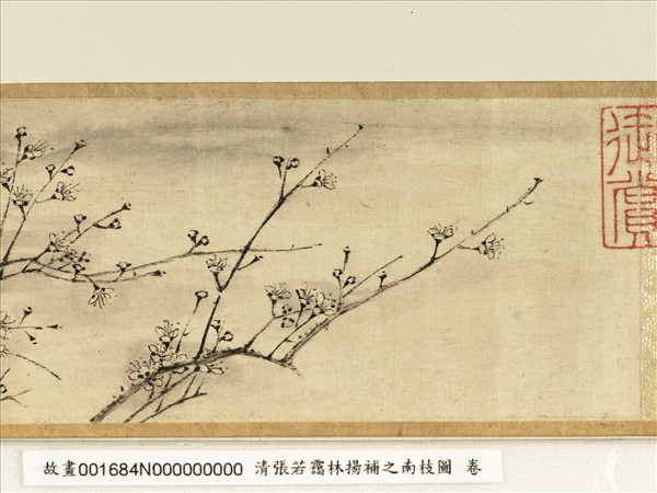 清張若靄臨揚補之南枝圖　卷