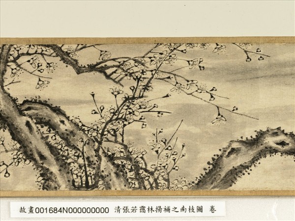 清張若靄臨揚補之南枝圖　卷