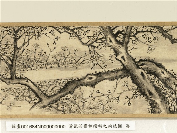 清張若靄臨揚補之南枝圖　卷
