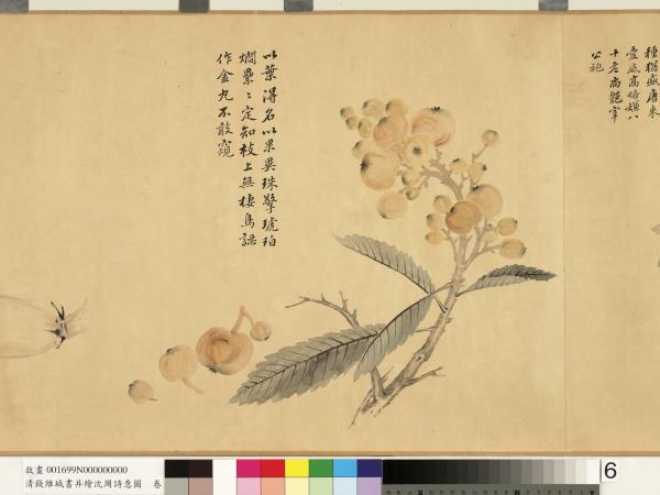 清錢維城書並繪沈周詩意圖　卷