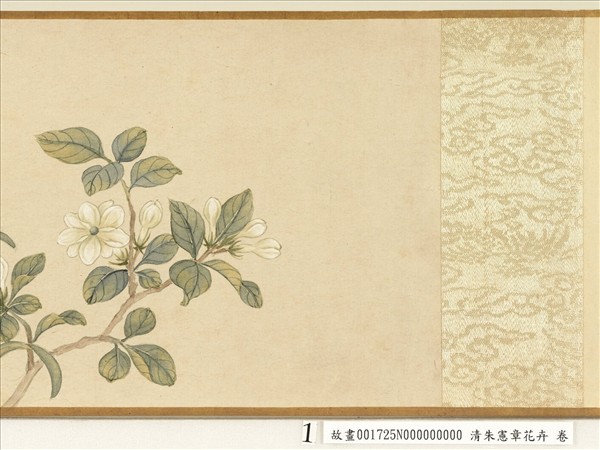 清朱憲章花卉　卷