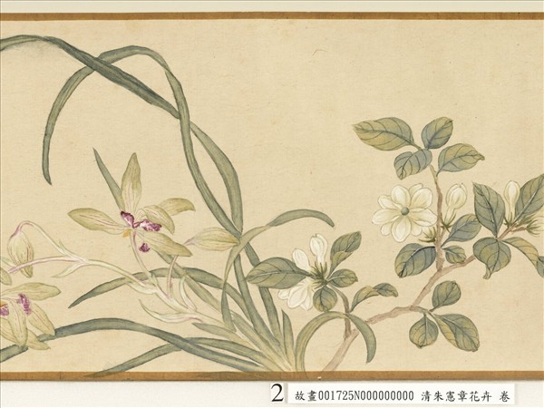 清朱憲章花卉　卷