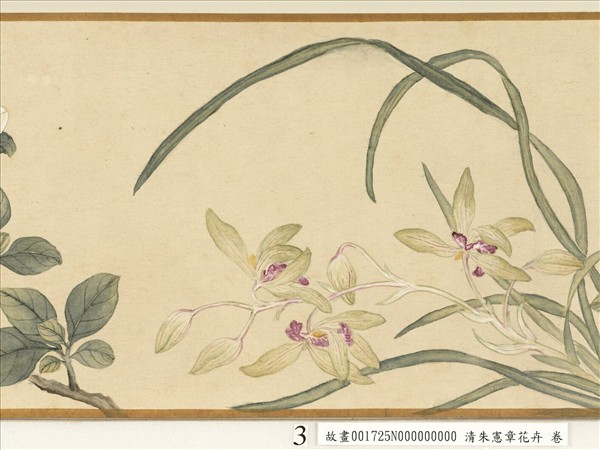 清朱憲章花卉　卷