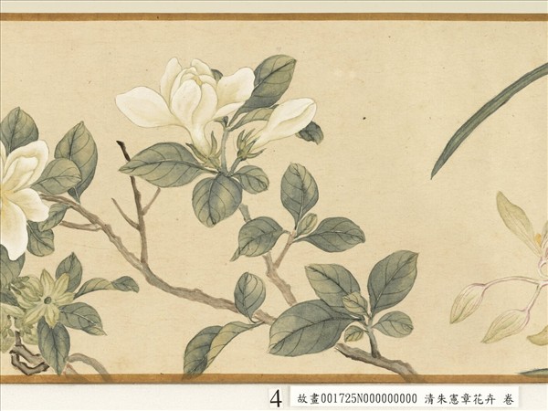 清朱憲章花卉　卷