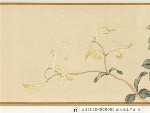 清朱憲章花卉　卷