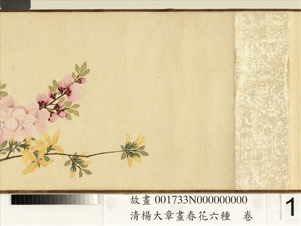 清楊大章畫春花六種　卷