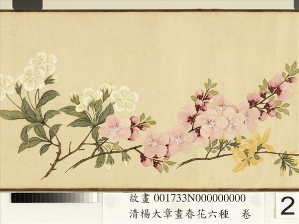 清楊大章畫春花六種　卷