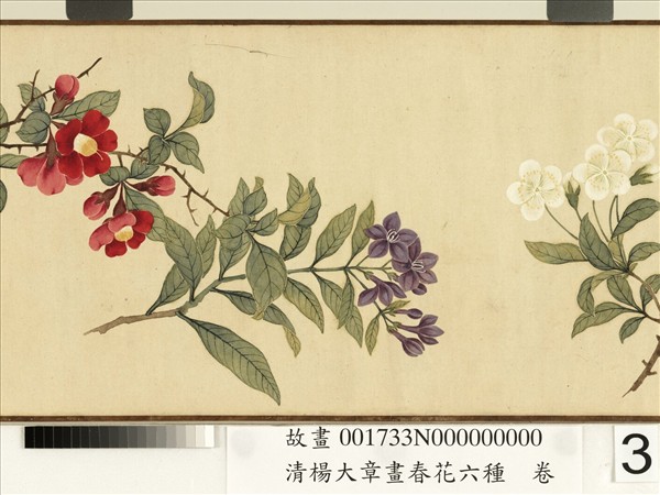 清楊大章畫春花六種　卷