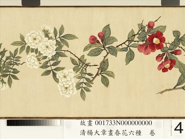清楊大章畫春花六種　卷