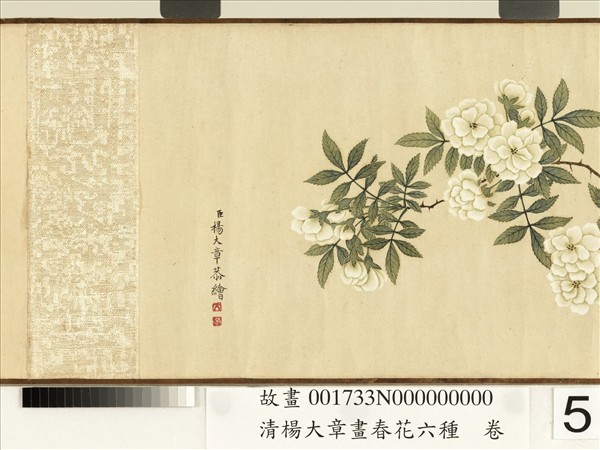 清楊大章畫春花六種　卷