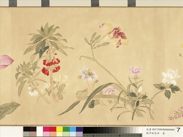 清錢中鈺花卉　卷